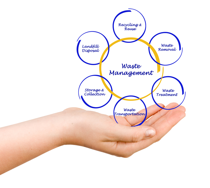 Creative and Practical Steps for a Waste-Free Home